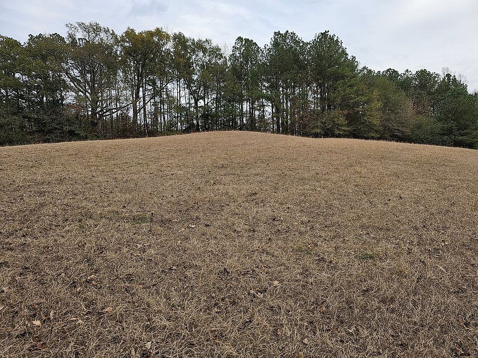 An unharvested buffer of timber was retained around the hayfield and County Road 9 for a possible house site.