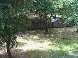 2nd image of 7900 Limerick Ln