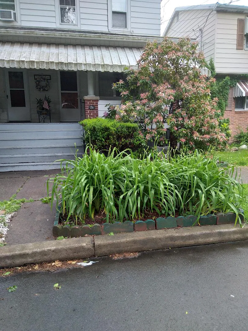 26 S Landon St — Photo 2