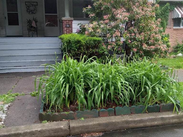 26 S Landon St — Photo 10
