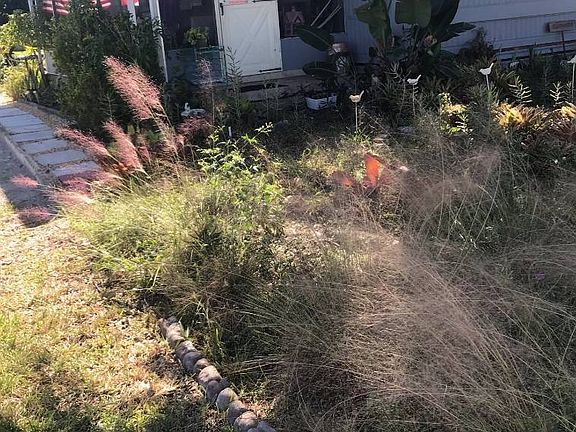 2nd image of 1255 Laura St