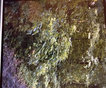 2923 Skyline Dr, Evansville, IN, 47712