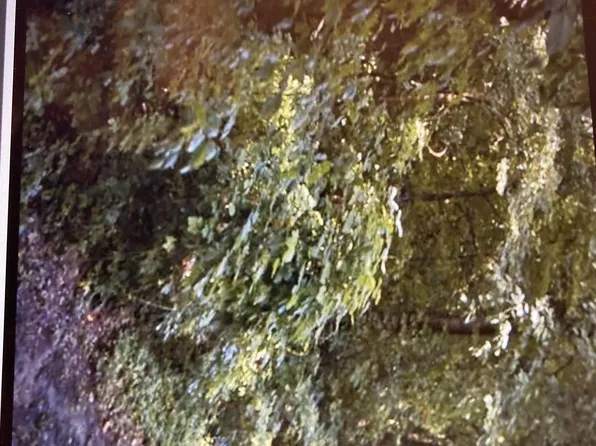 2923 Skyline Dr, Evansville, IN 47712