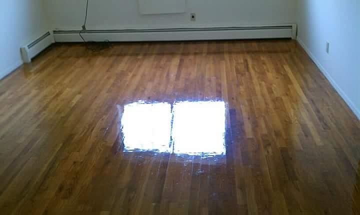 1st image of 3016 Colden Ave #1