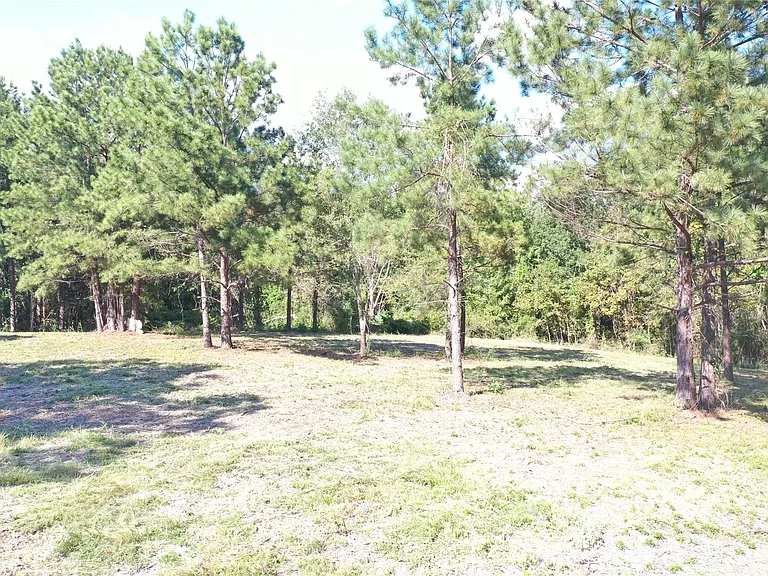 185 S FM 356 W — Photo 22