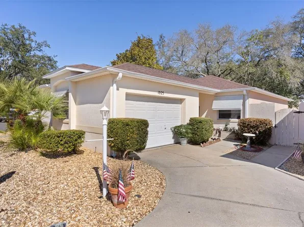 1025 Avalon Ave, Lady Lake, FL 32159