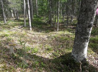 L11 Lyle Cir, Hope, AK 99605