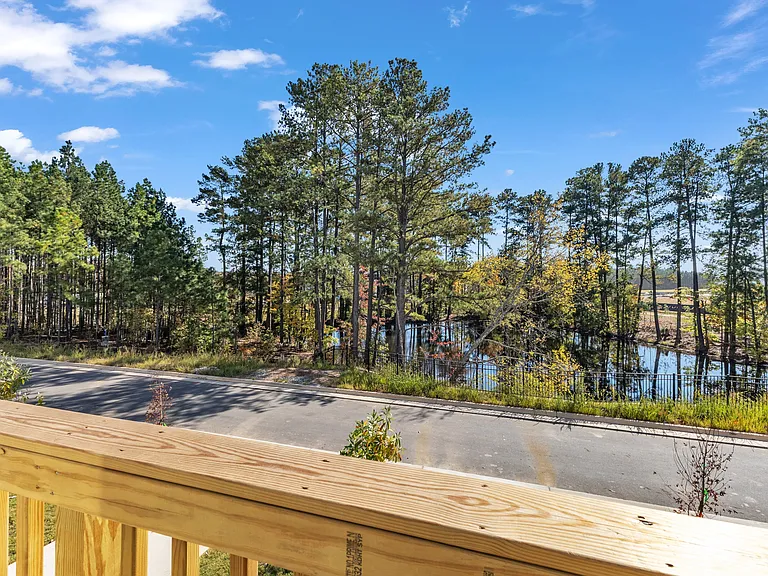 427 Carolina Springs Blvd — Photo 40