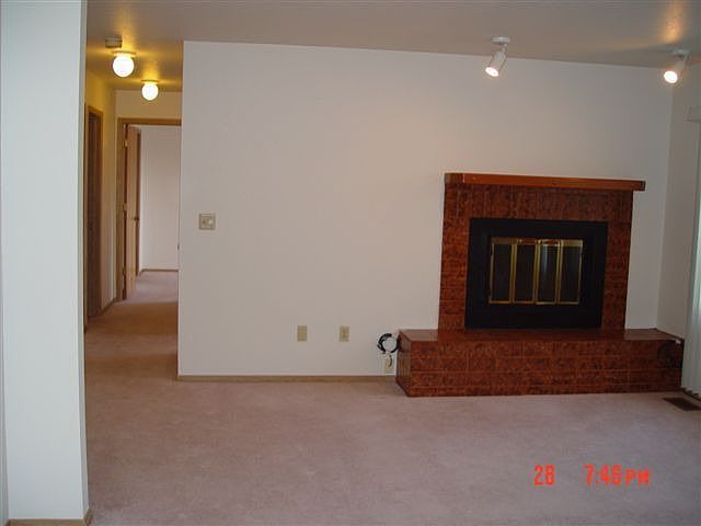 Living room/fireplace