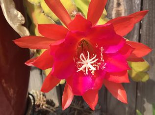 13611 Malena Dr, Tustin, CA 92780