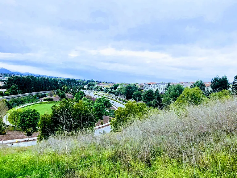 2221 Golden Crest Cmns — Photo 14