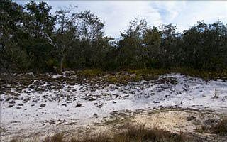 4th image of 253 Crystal Lake Dr