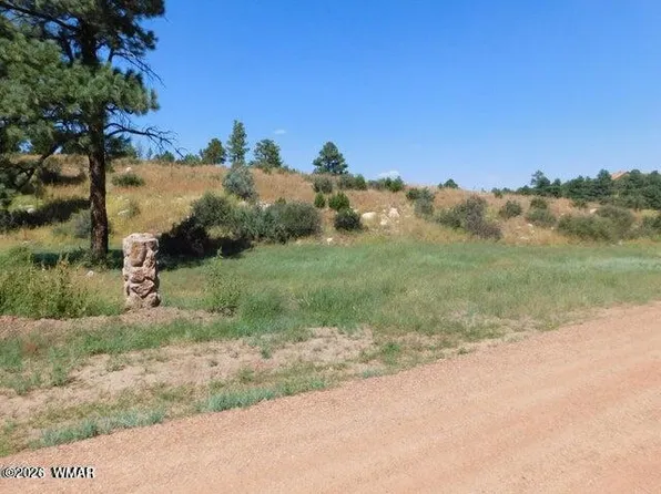 2806 Pine Hill Dr #2808, Overgaard, AZ 85933