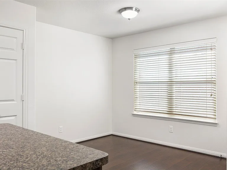 317 Falling Pine Dr — Photo 8