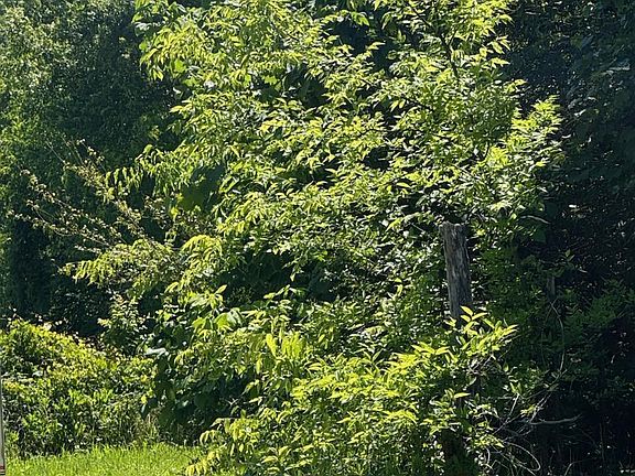 3rd image of 370 Doane Rd