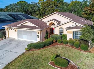 423 Mistwood Ct, Spring Hill, FL 34609