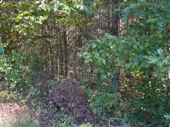 0 Rambling Rose Rd, Ferrum, VA 24088