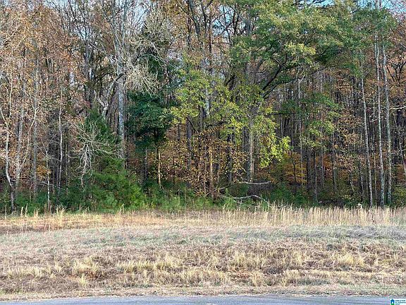 5th image of 21 Buckhorn Valley Dr #21