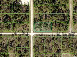 Force Rd LOT 6, Brooksville, FL 34614