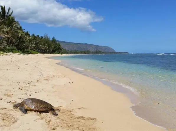 (undisclosed Address), Waialua, HI 96791