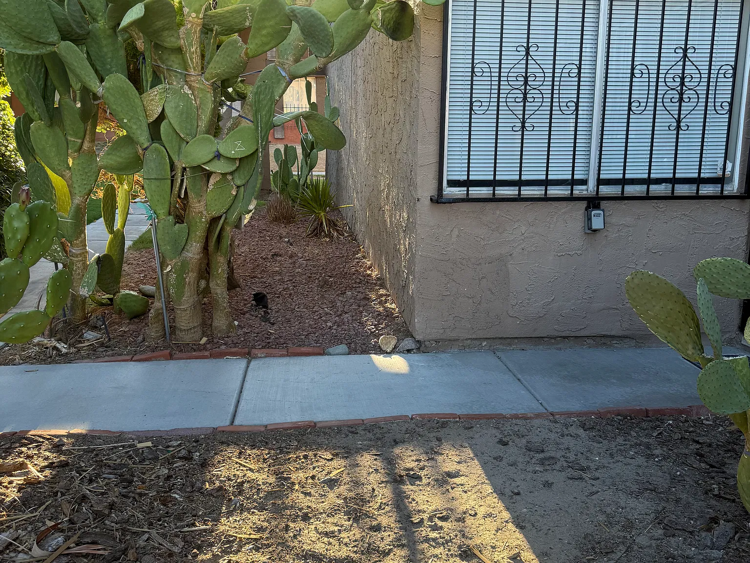 2 bed, 1082 sqft, $1,550 — Photo 4