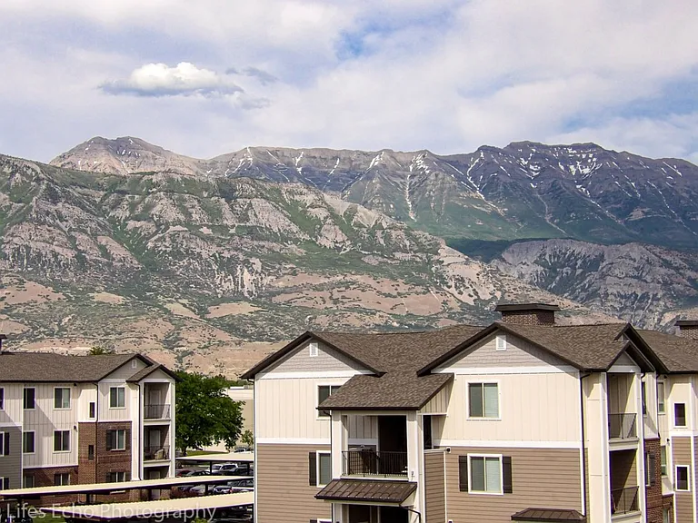 Fields at Timpanogos — Photo 25