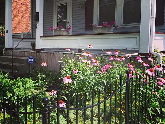 2nd image of 81 E Welch Ave