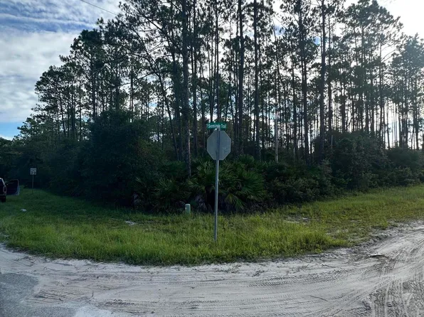 00 WHISPERING PINES Road, Georgetown, FL 32139