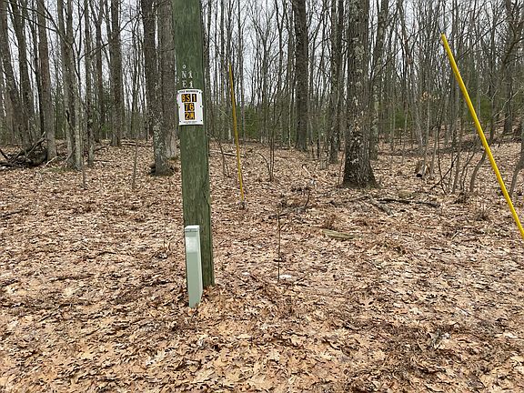 3rd image of V/l W Deer Track Trl #4