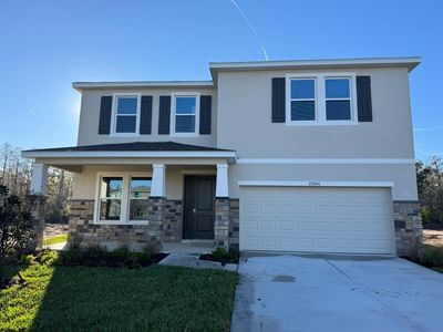 17694 Acron Drop Rd, Land O Lakes, FL, 34638