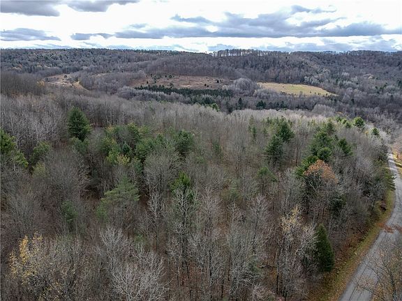 4th image of Trapping Brook Rd