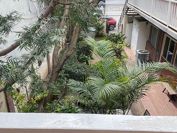 View from door/window.