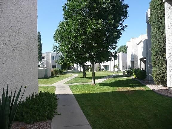 immaculate grounds