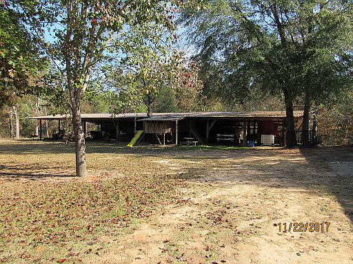 covered barn & "tree house"