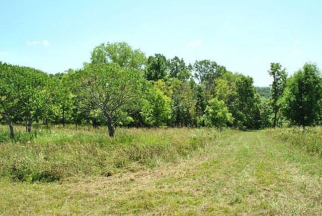2nd image of Mississippi Ridge Ln