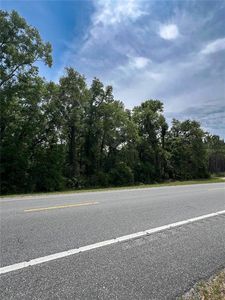 0 NE 349th Hwy LOT 6, Old Town, FL, 32680