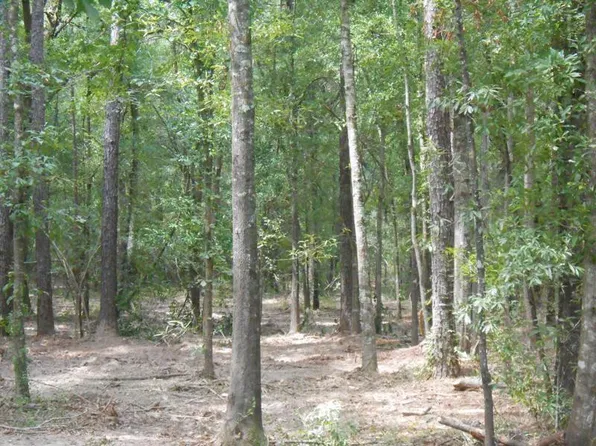 Mitchell Rd, Ponchatoula, LA 70454