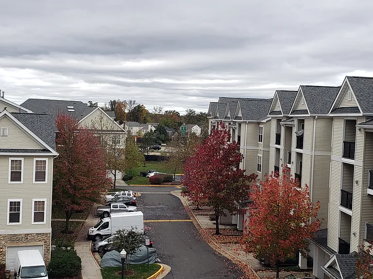 Fall colors view