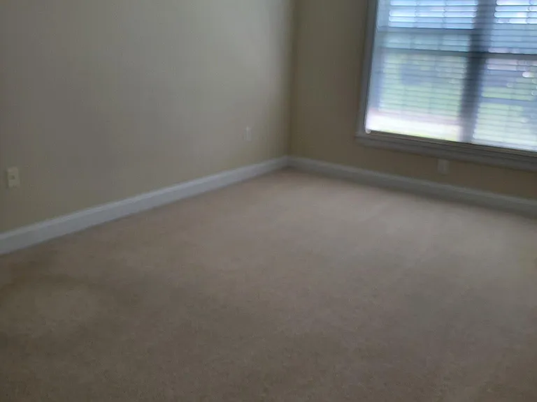 6226 Crooked Stick Way — Photo 11