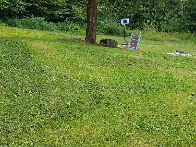 Back yard