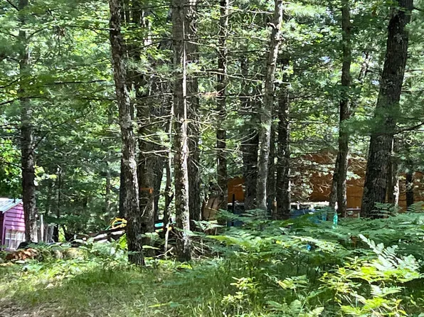 11628 N White Pine Dr, Manistee, MI 49660