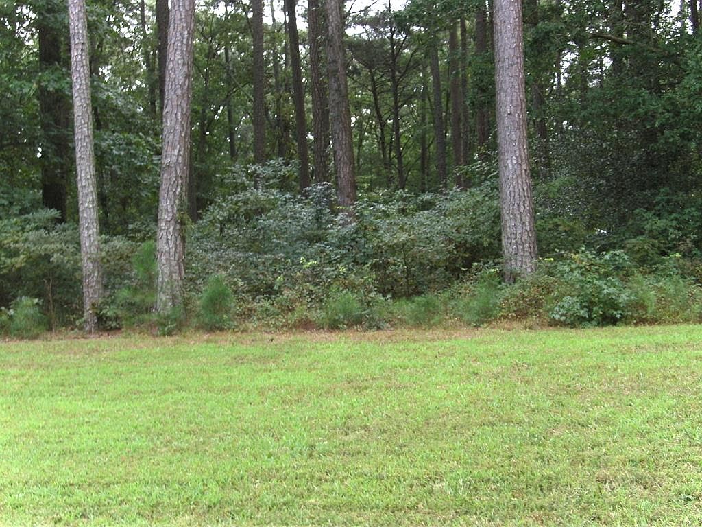 54 Mevis Sugar Ln, Horntown, VA 23395 MLS 55131 Zillow