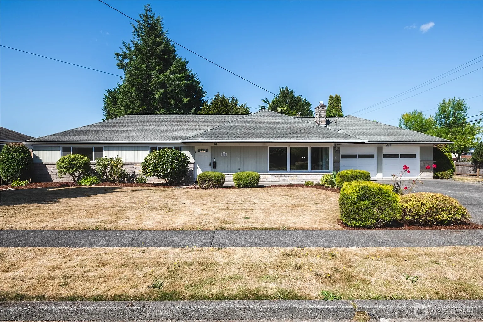 101 Belmont Terrace photo 1