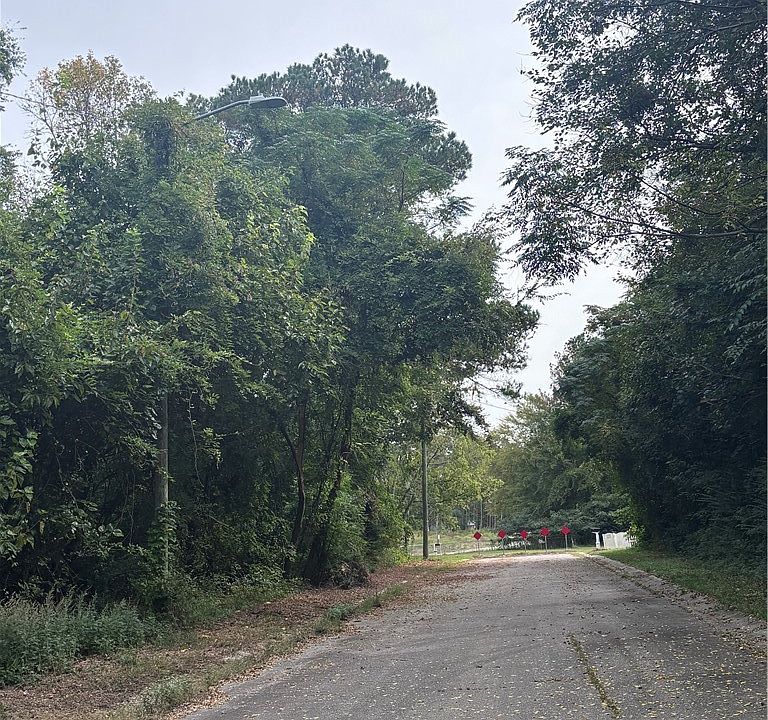 13th image of Cade Ave