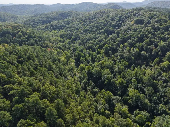 Forest Service Rd, Mena, AR 71953