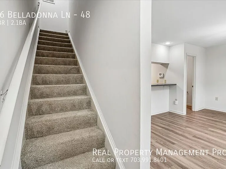 86 Belladonna Ln #48 — Photo 19