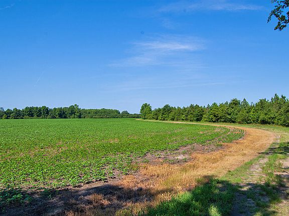 3rd image of 1 State Highway 33 E Lot 1