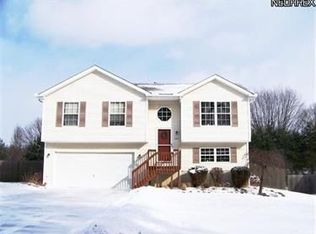 1068 Wadsworth Rd, Medina, OH 44256