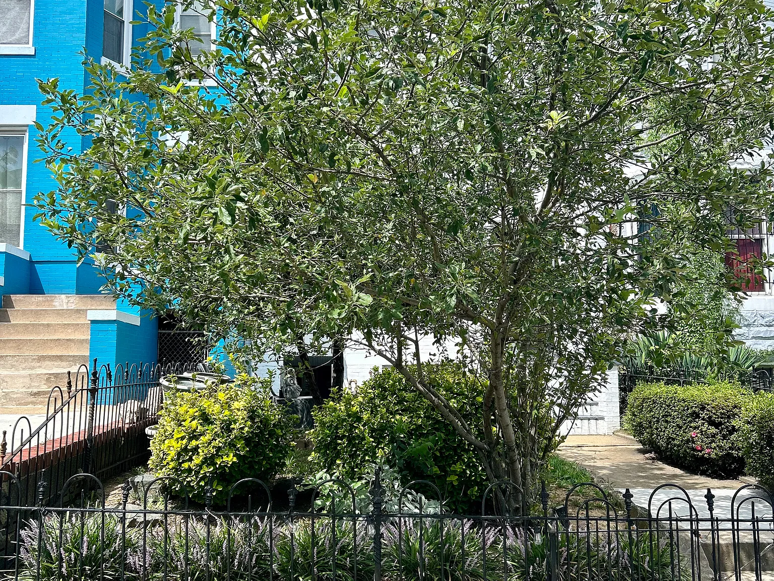 1 bed, 900 sqft, $2,400 — Photo 2