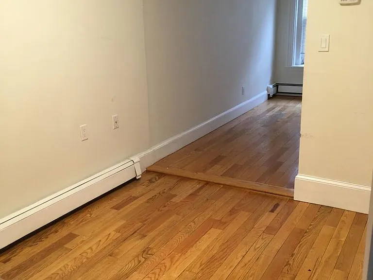 36 E Springfield St #1B — Photo 9